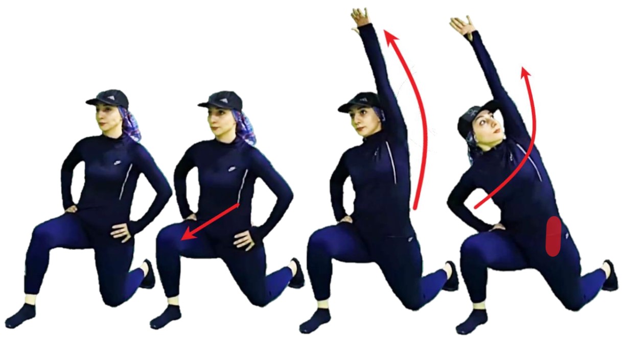Half Kneeling Hip Flexors
