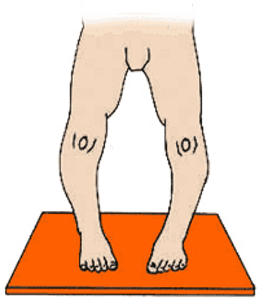 boe leg png