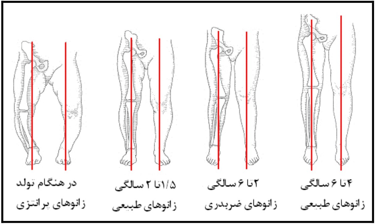 Knee Alignment